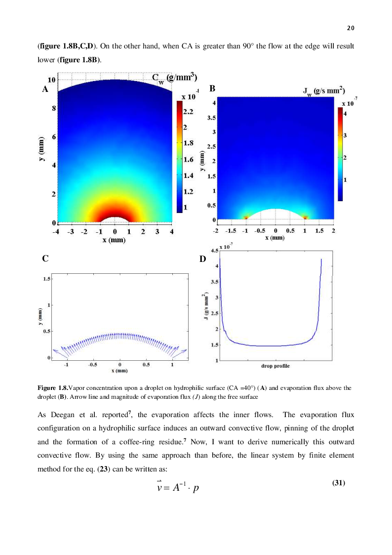 Anteprima della tesi: Contributions to modeling and applications of superhydrophobic surfaces for self-assembly of biological materials, Pagina 6
