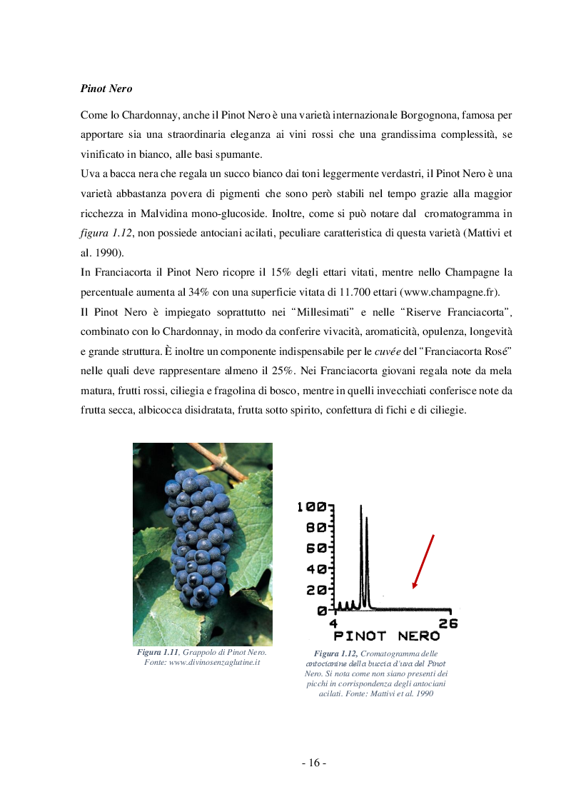 Anteprima della tesi: Analisi chimico-fisica ed organolettica di vino Franciacorta Bellavista tirato ed evoluto in contenitori di volume differente, Pagina 11