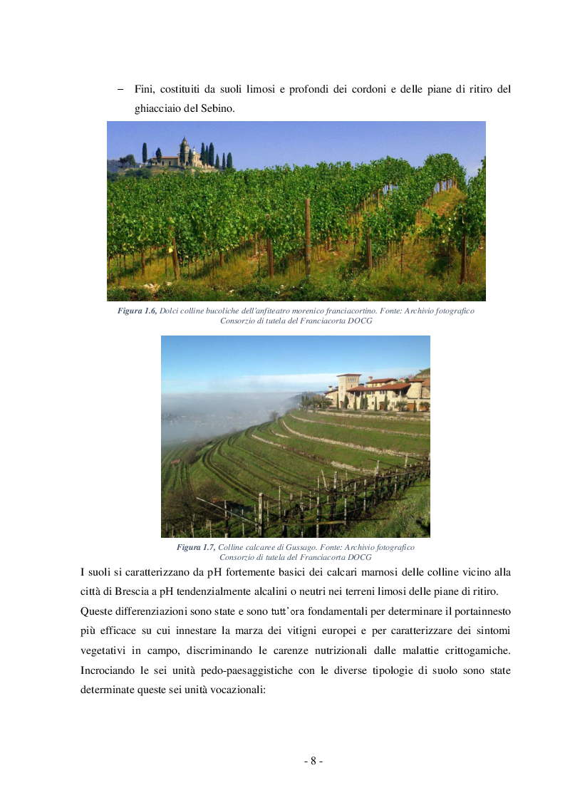 Anteprima della tesi: Analisi chimico-fisica ed organolettica di vino Franciacorta Bellavista tirato ed evoluto in contenitori di volume differente, Pagina 3