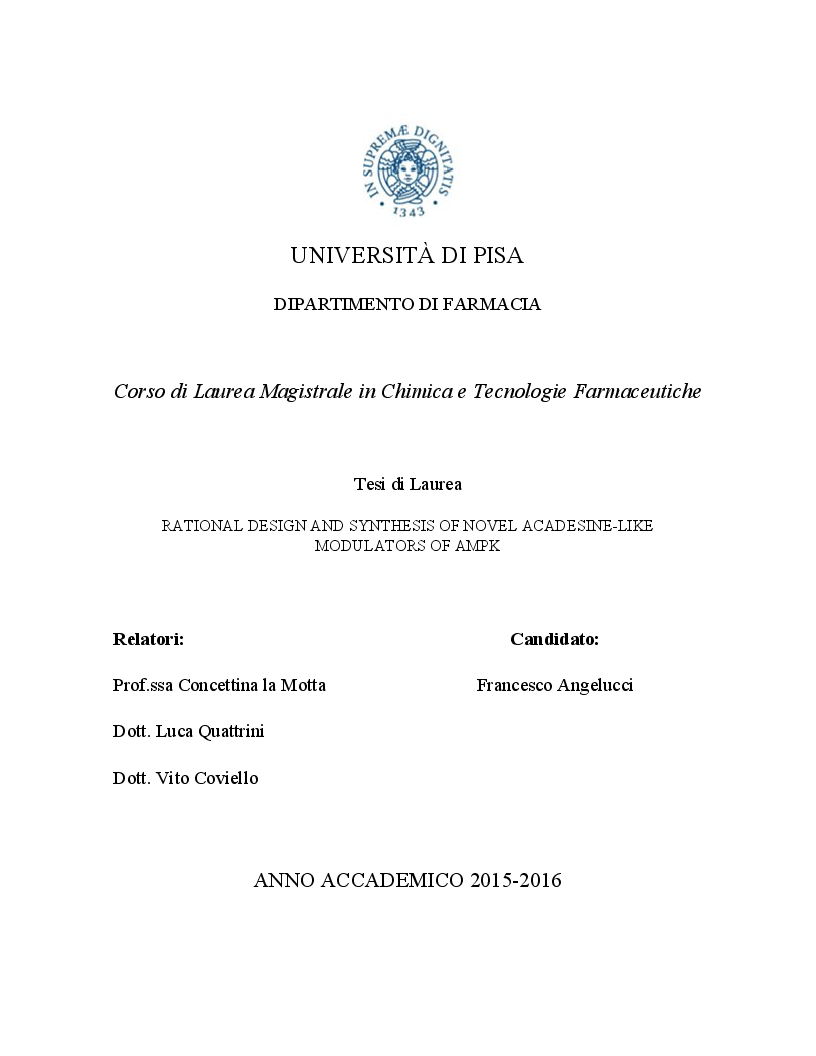 Anteprima della tesi: Rational Design and Synthesis of Novel Acadesine-Like Modulators of AMPK, Pagina 1