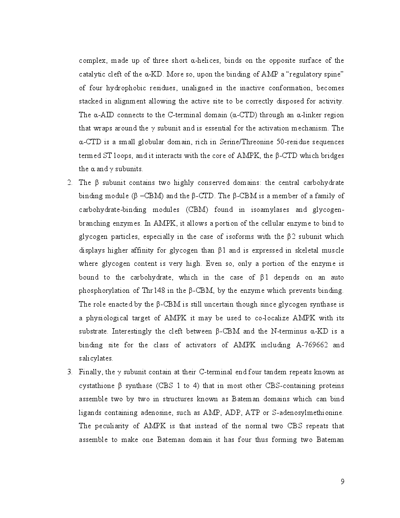 Anteprima della tesi: Rational Design and Synthesis of Novel Acadesine-Like Modulators of AMPK, Pagina 7