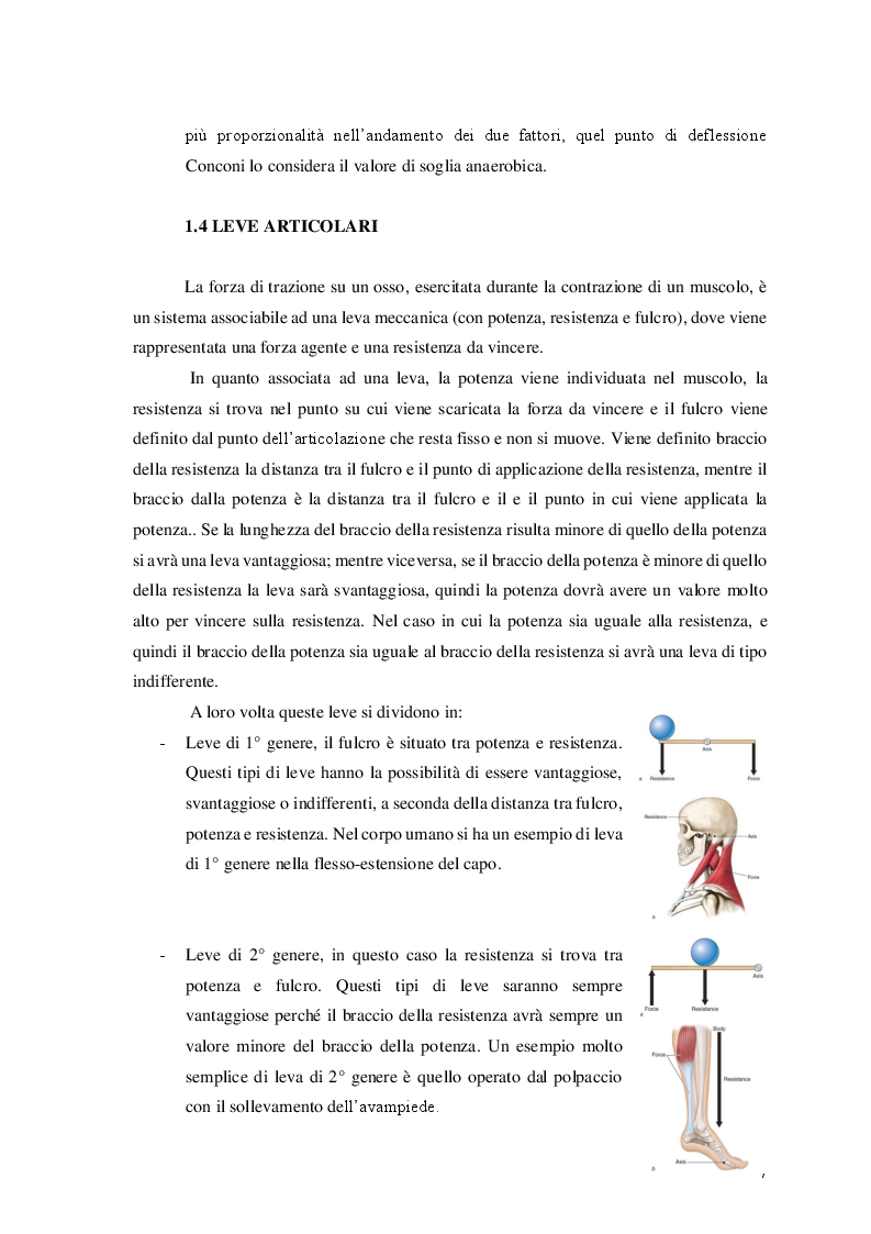 Estratto dalla tesi: La Forza: caratteristiche e sviluppo