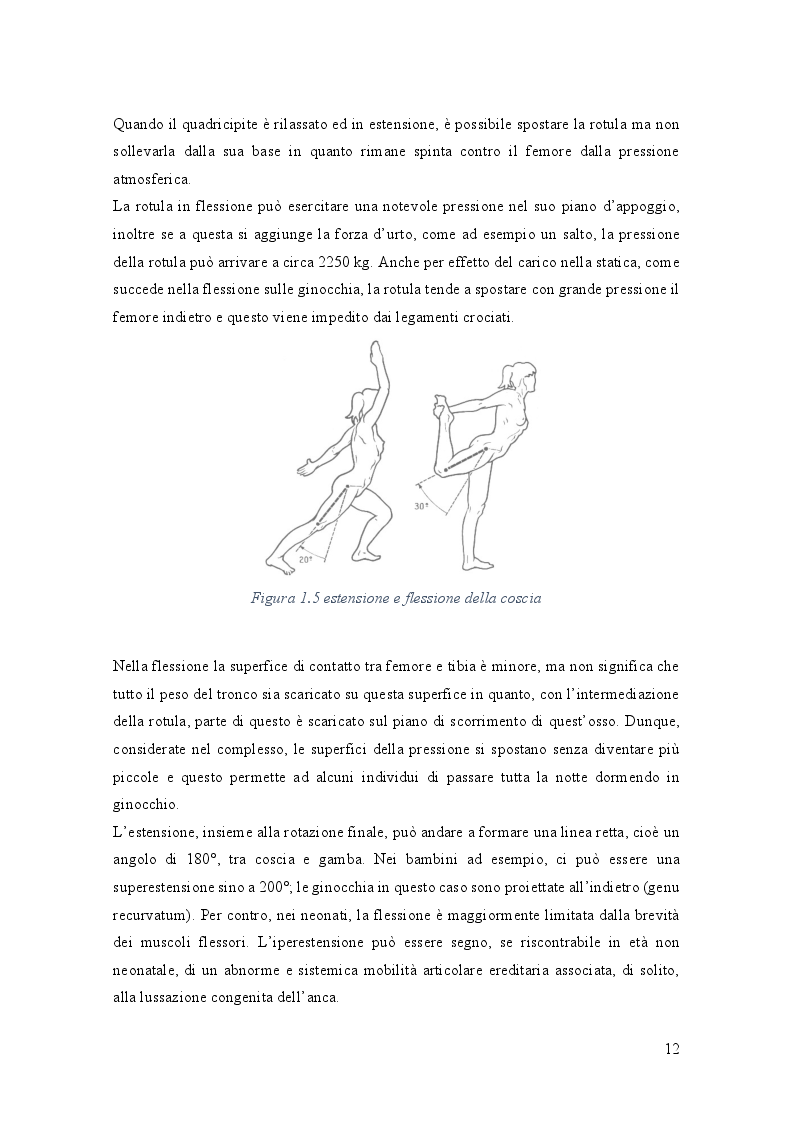 Estratto dalla tesi: Rottura del legamento crociato anteriore nel volley femminile: meccanismi traumatici e misure preventive