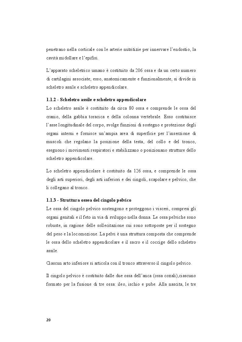 Estratto dalla tesi: Il ruolo del tecnico ortopedico nella progettazione, applicazione e follow-up nel trattamento conservativo, ortesico e riabilitativo del runner