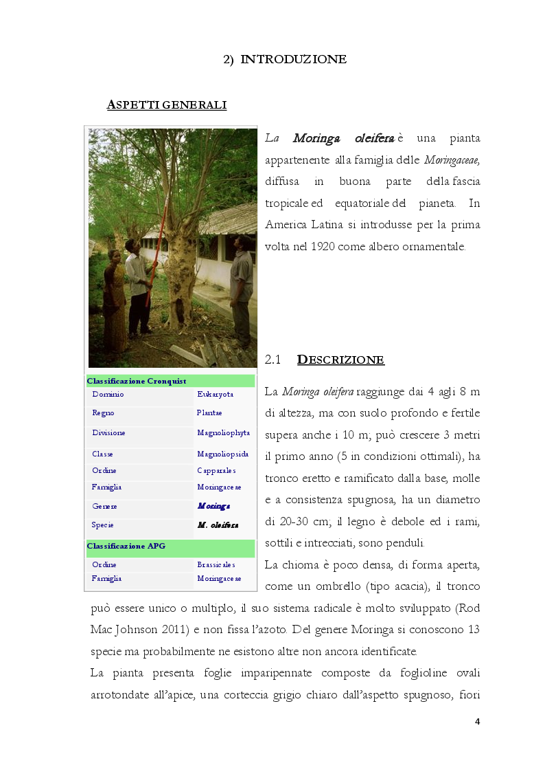 Anteprima della tesi: Studio sperimentale degli effetti sulla patologia mammaria e sulla composizione del latte dell’integrazione con Moringa oleifera nelle vacche da latte, Pagina 4