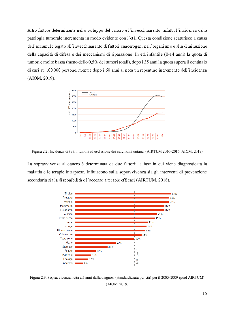 Anteprima della tesi: L'approccio multidisciplinare nella gestione del cancro al pancreas in stadio avanzato: un caso studio, Pagina 6