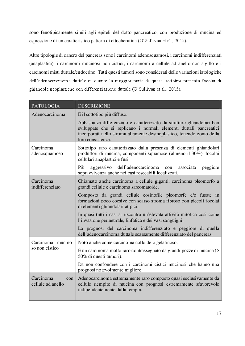 Anteprima della tesi: L'approccio multidisciplinare nella gestione del cancro al pancreas in stadio avanzato: un caso studio, Pagina 8