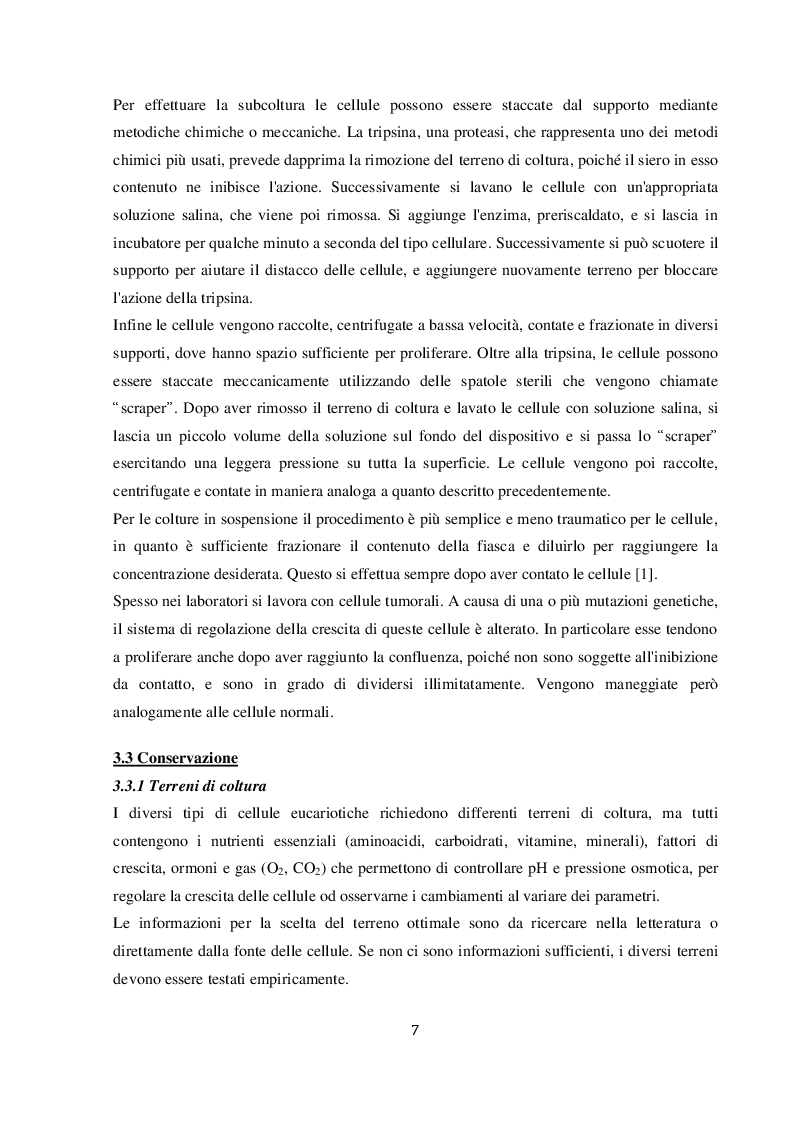 Anteprima della tesi: Modelli di colture cellulari come mezzo per migliorare l'affidabilità di test biologici, Pagina 3