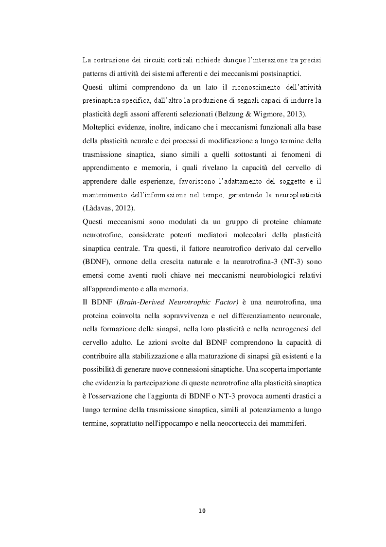 Anteprima della tesi: Plasticità cerebrale e principi di neuromodulazione: uno studio sperimentale sul ruolo della neuromodulazione, tramite training cognitivi, nella regolazione emotiva, Pagina 8