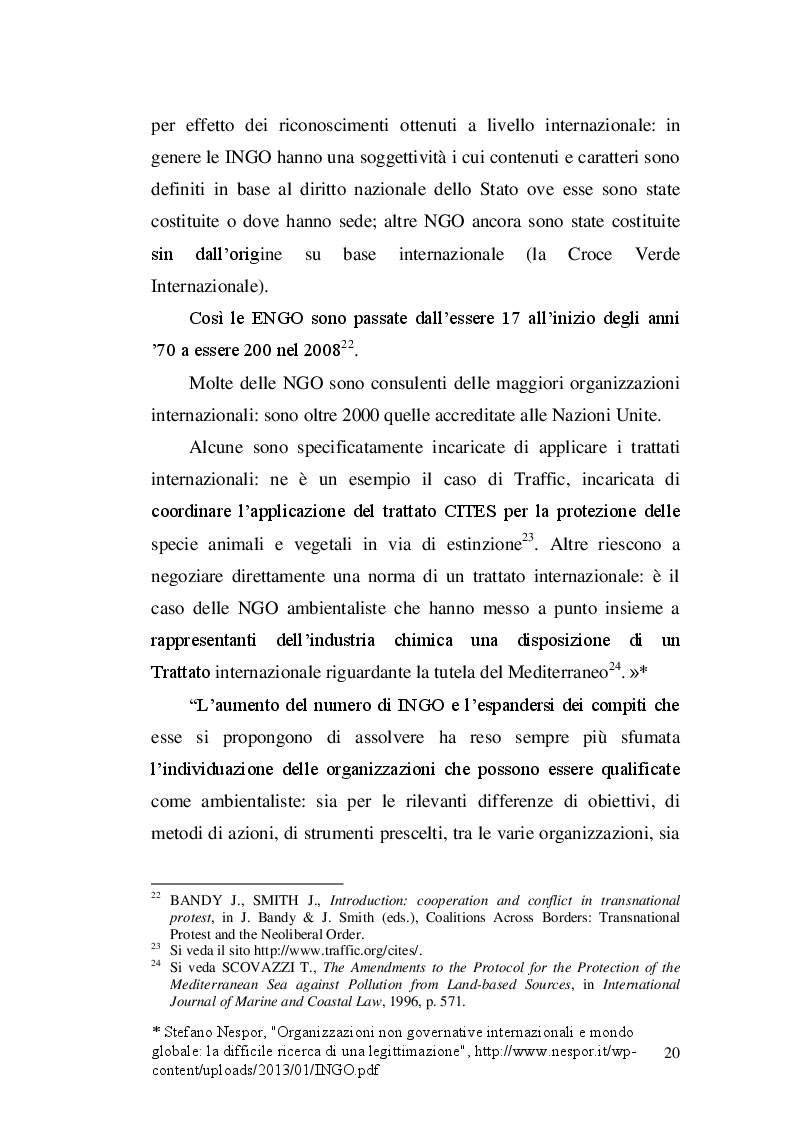 Estratto dalla tesi: Il diritto dell'ambiente nell'ordinamento globale