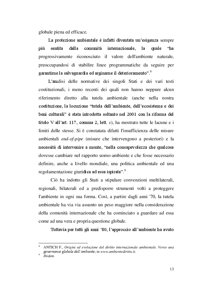 Anteprima della tesi: Il diritto dell'ambiente nell'ordinamento globale, Pagina 10