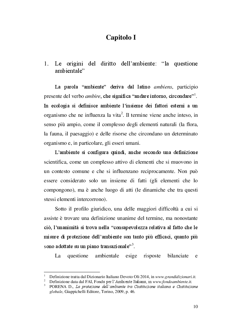 Anteprima della tesi: Il diritto dell'ambiente nell'ordinamento globale, Pagina 7