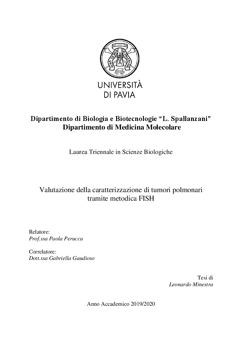 Anteprima della tesi: Valutazione della caratterizzazione di tumori polmonari tramite metodica FISH, Pagina 1