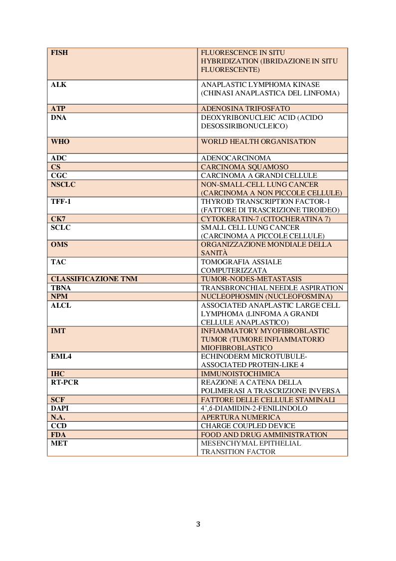 Anteprima della tesi: Valutazione della caratterizzazione di tumori polmonari tramite metodica FISH, Pagina 3