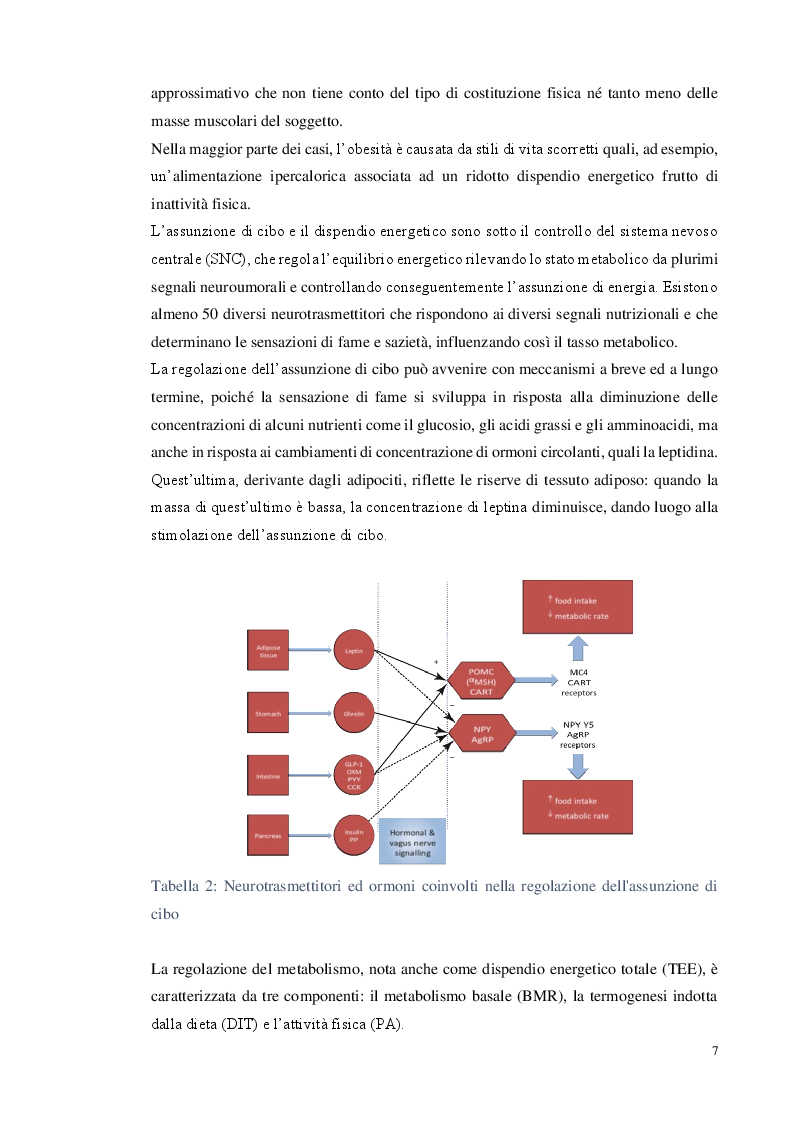 Anteprima della tesi: Chirurgia bariatrica: una nuova frontiera contro l'obesità, Pagina 3