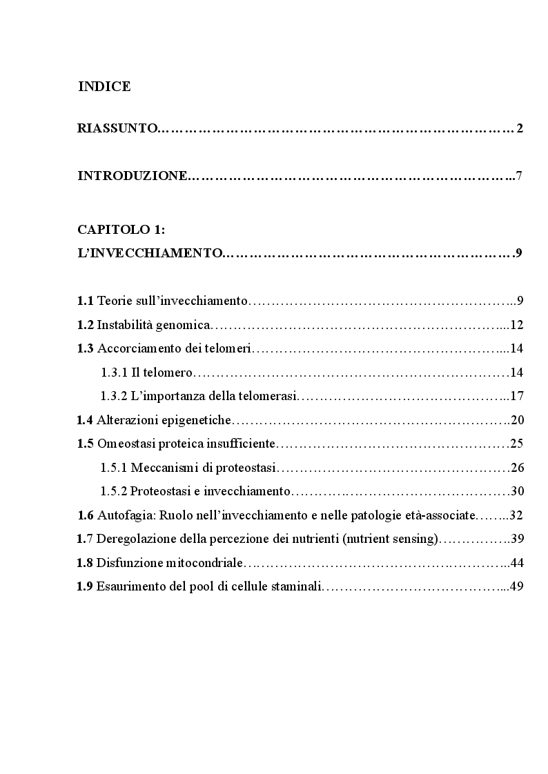 Indice della tesi: Indagine istologica sulle alterazioni cutanee in un modello murino di HGPS, Pagina 1