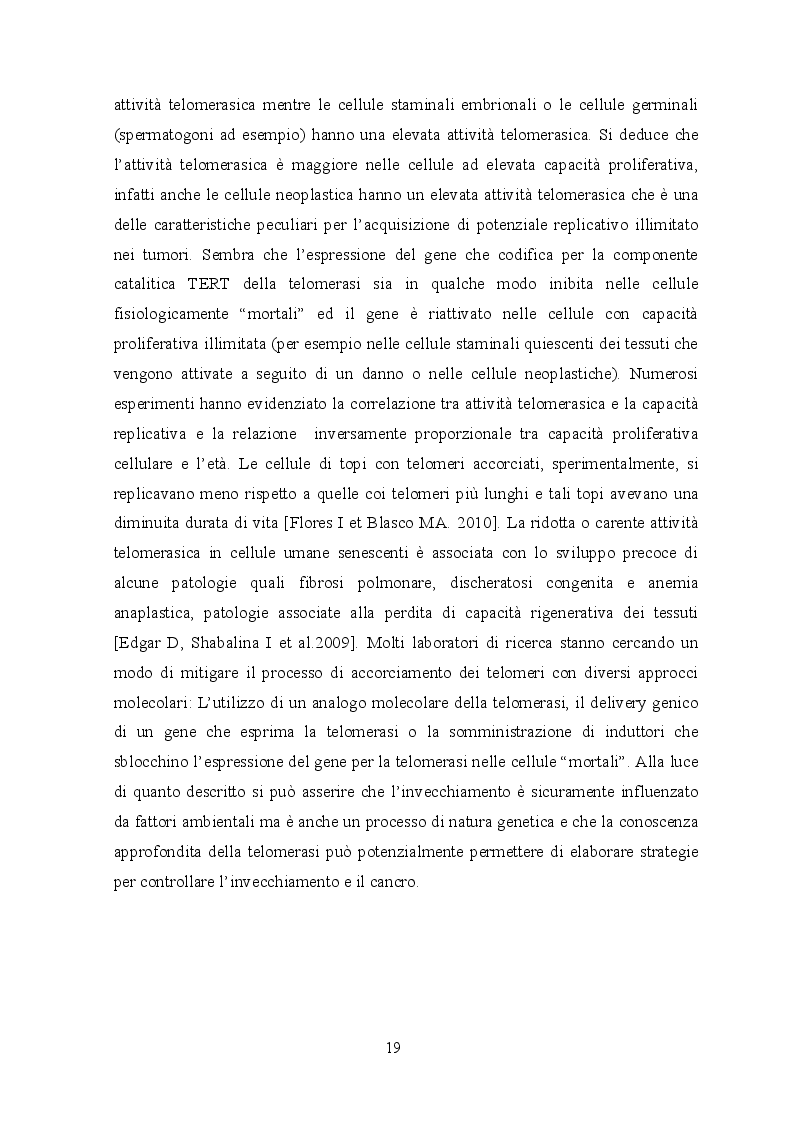Anteprima della tesi: Indagine istologica sulle alterazioni cutanee in un modello murino di HGPS, Pagina 12