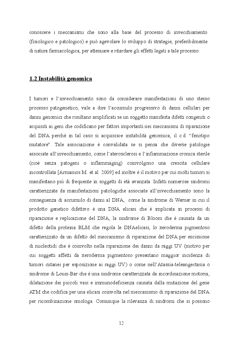 Anteprima della tesi: Indagine istologica sulle alterazioni cutanee in un modello murino di HGPS, Pagina 5