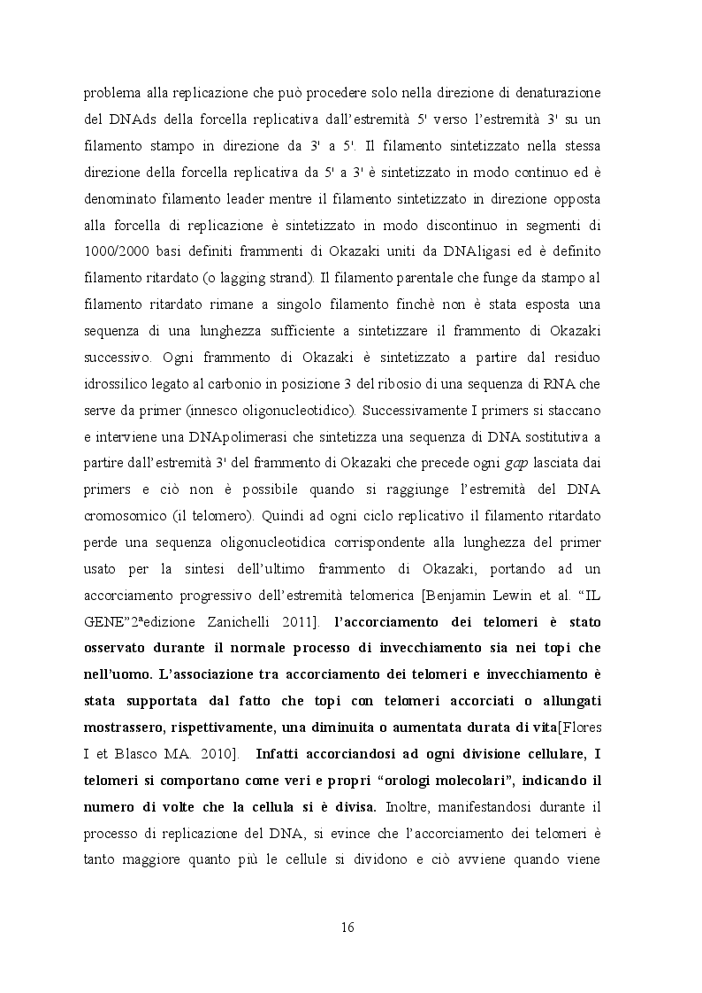 Anteprima della tesi: Indagine istologica sulle alterazioni cutanee in un modello murino di HGPS, Pagina 9
