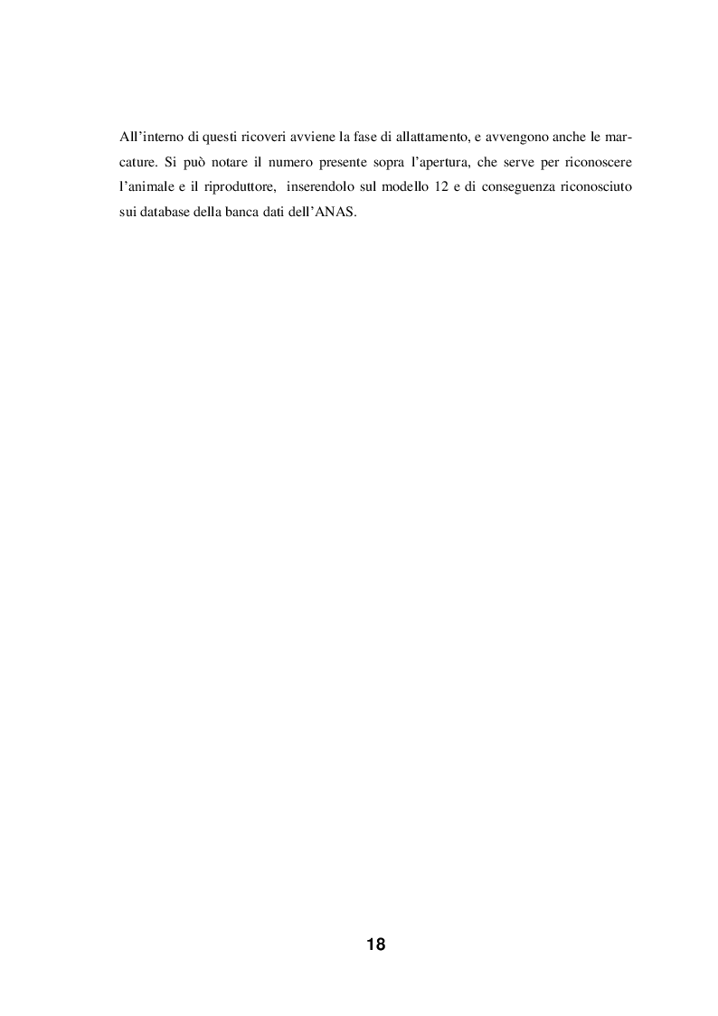 Anteprima della tesi: Sostenibilità dell'allevamento del Suino Nero Calabrese e delle sue produzioni in ambiente a tradizione cerealicolo, Pagina 9