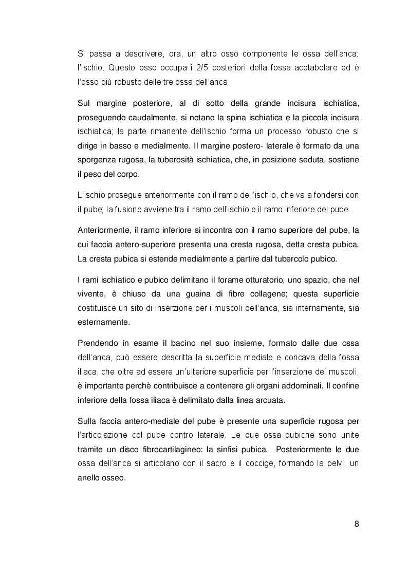 Anteprima della tesi: Il ruolo dell'acqua nell'attività fisica in gravidanza, Pagina 6