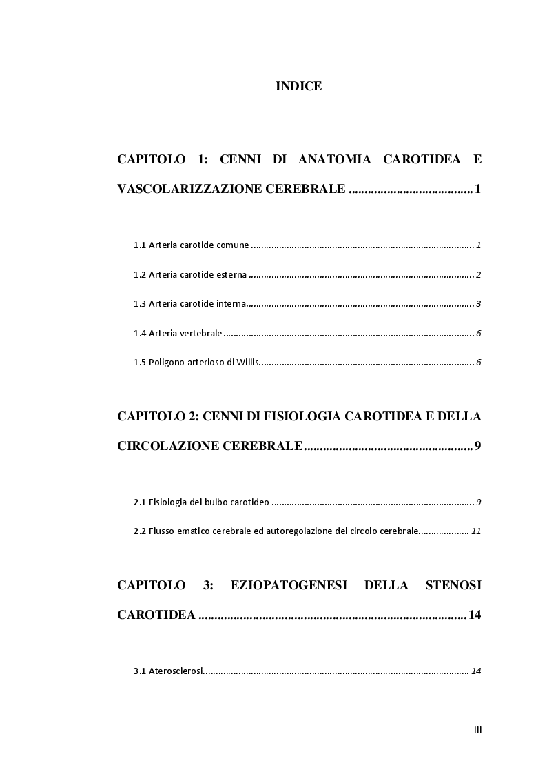 Indice della tesi: Risultati a Lungo Termine dello Stenting Carotideo, Pagina 1