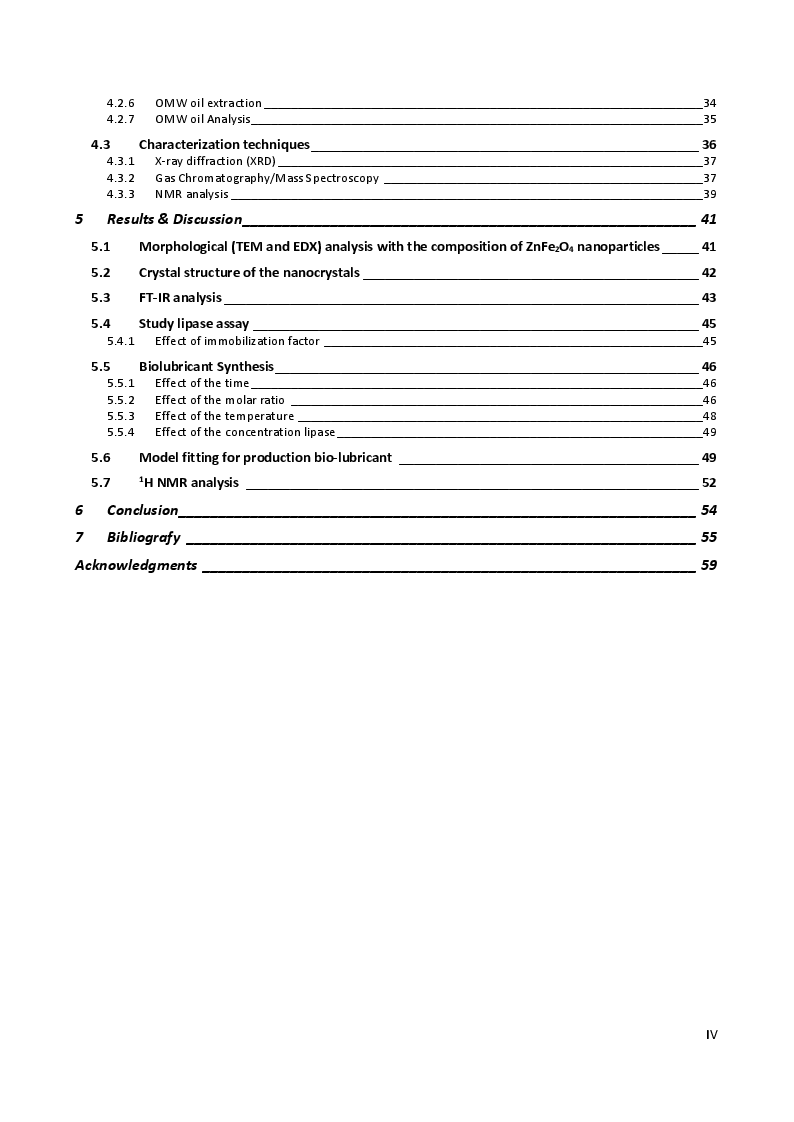 Indice della tesi: Bio-lubricant from the olive mill waste through a new biocatalyst immobilized on ZnFe2O4, Pagina 2