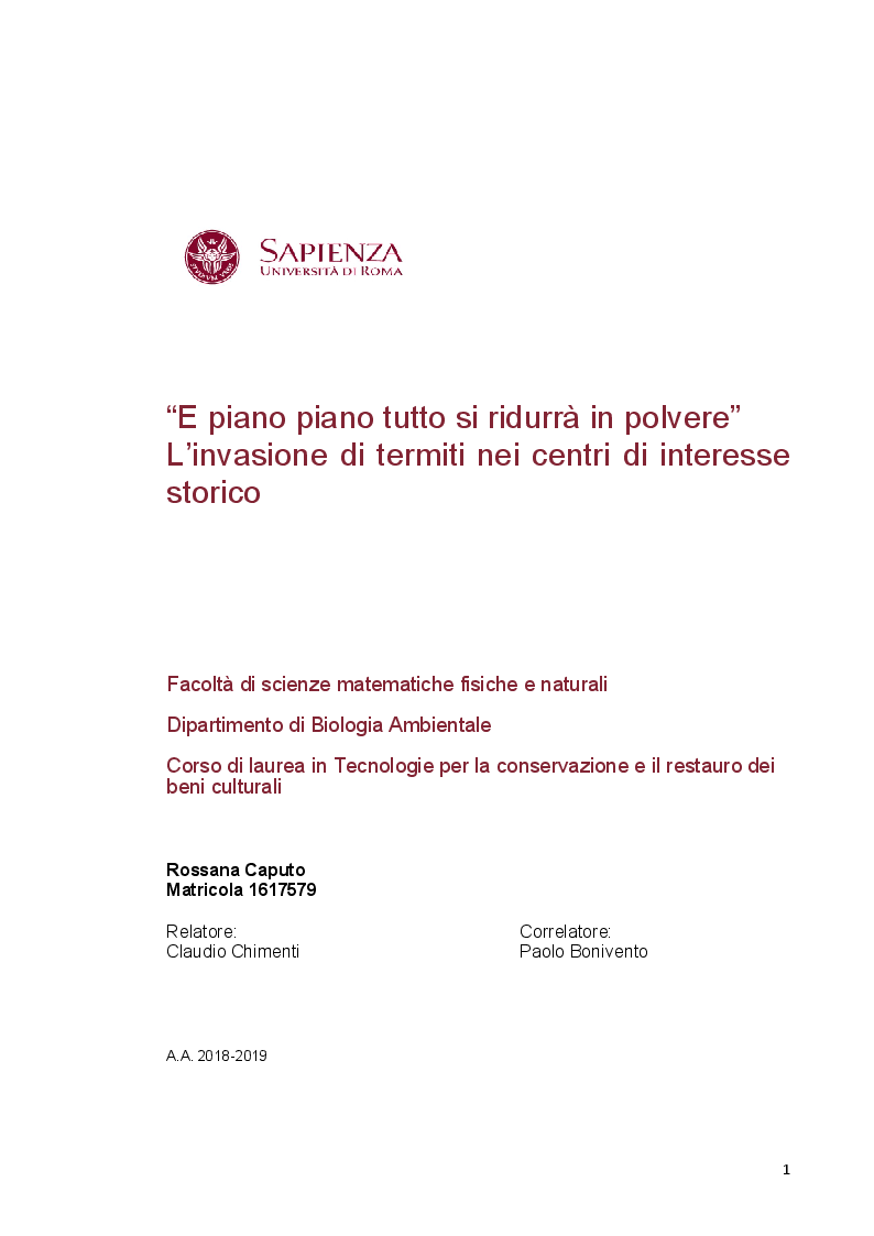 Anteprima della tesi: "E piano piano tutto si ridurrà in polvere" L’invasione di termiti nei centri di interesse storico, Pagina 1