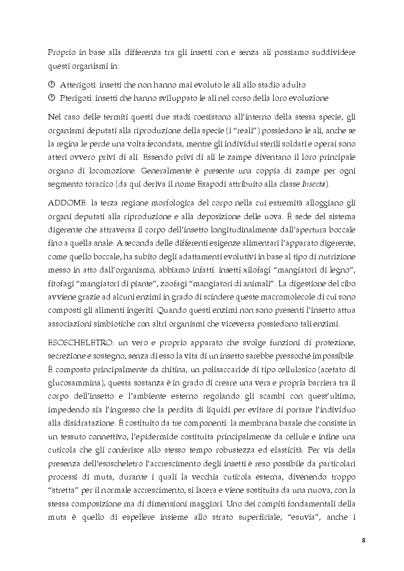 Anteprima della tesi: "E piano piano tutto si ridurrà in polvere" L’invasione di termiti nei centri di interesse storico, Pagina 5