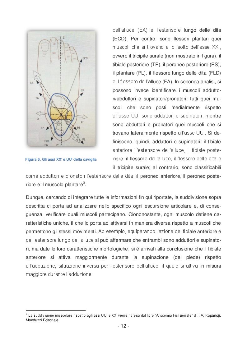 Estratto dalla tesi: Rieducazione Funzionale di Caviglia: il ruolo delle superfici instabili e del taping elastico