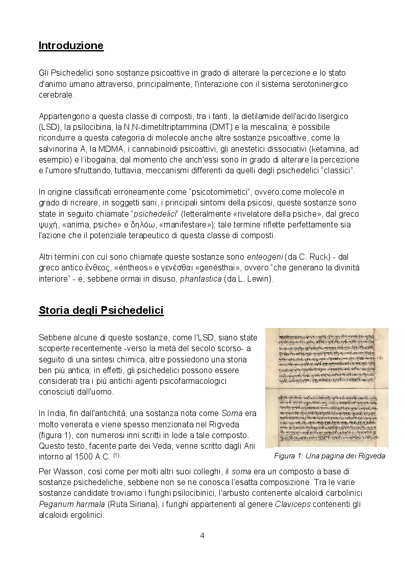 Anteprima della tesi: Phantastica: Il Potenziale Terapeutico degli Psichedelici, Pagina 3