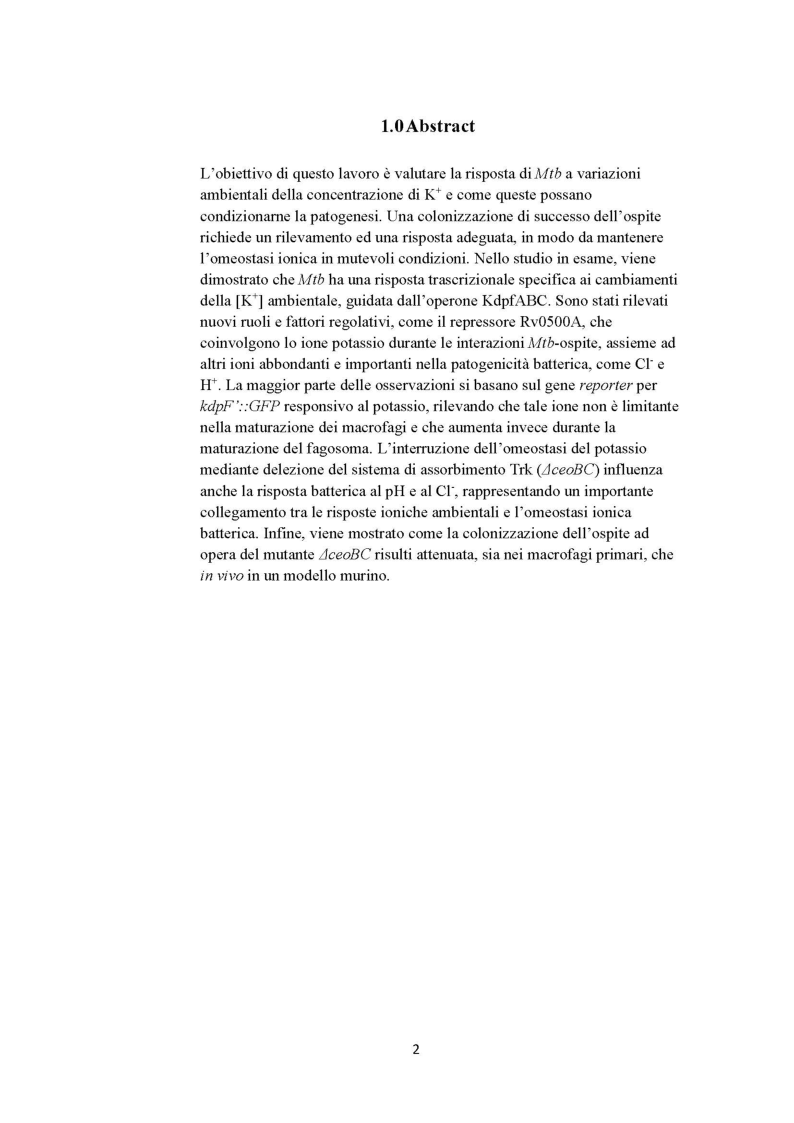 Anteprima della tesi: Omeostasi del potassio: risposta di Mycobacterium tuberculosis a variazioni ambientali della concentrazione di K+ e implicazioni nella patogenesi, Pagina 2