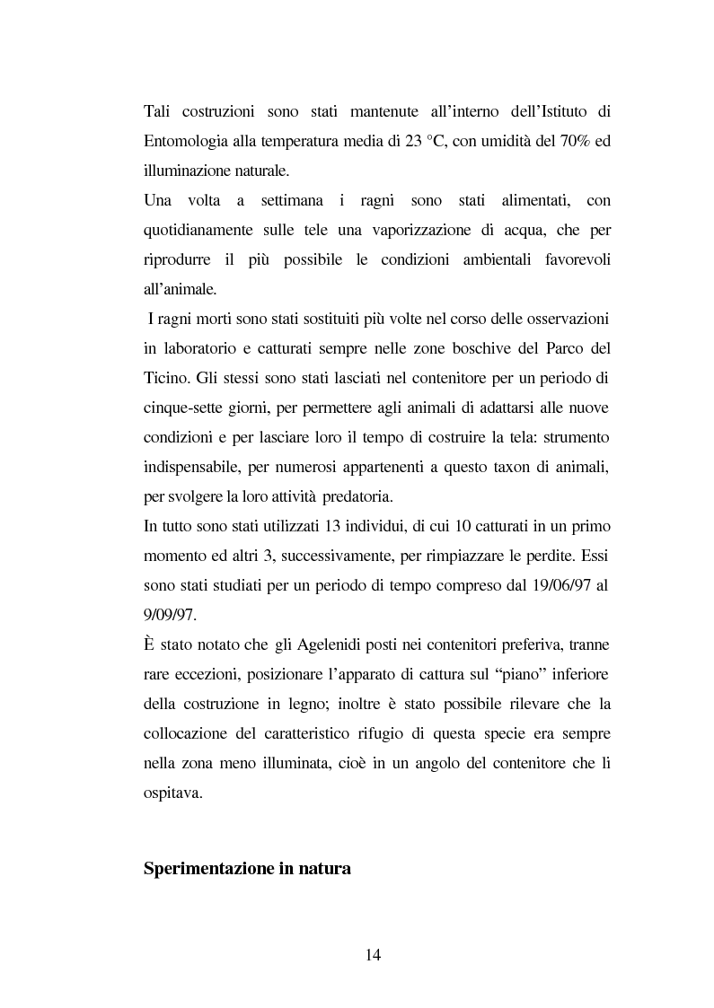 Anteprima della tesi: Predazione di Agelena Labyrinthica (Clerk) (Araneae, Agelenidae) in natura e laboratorio, con prede di tipologia differente, Pagina 12
