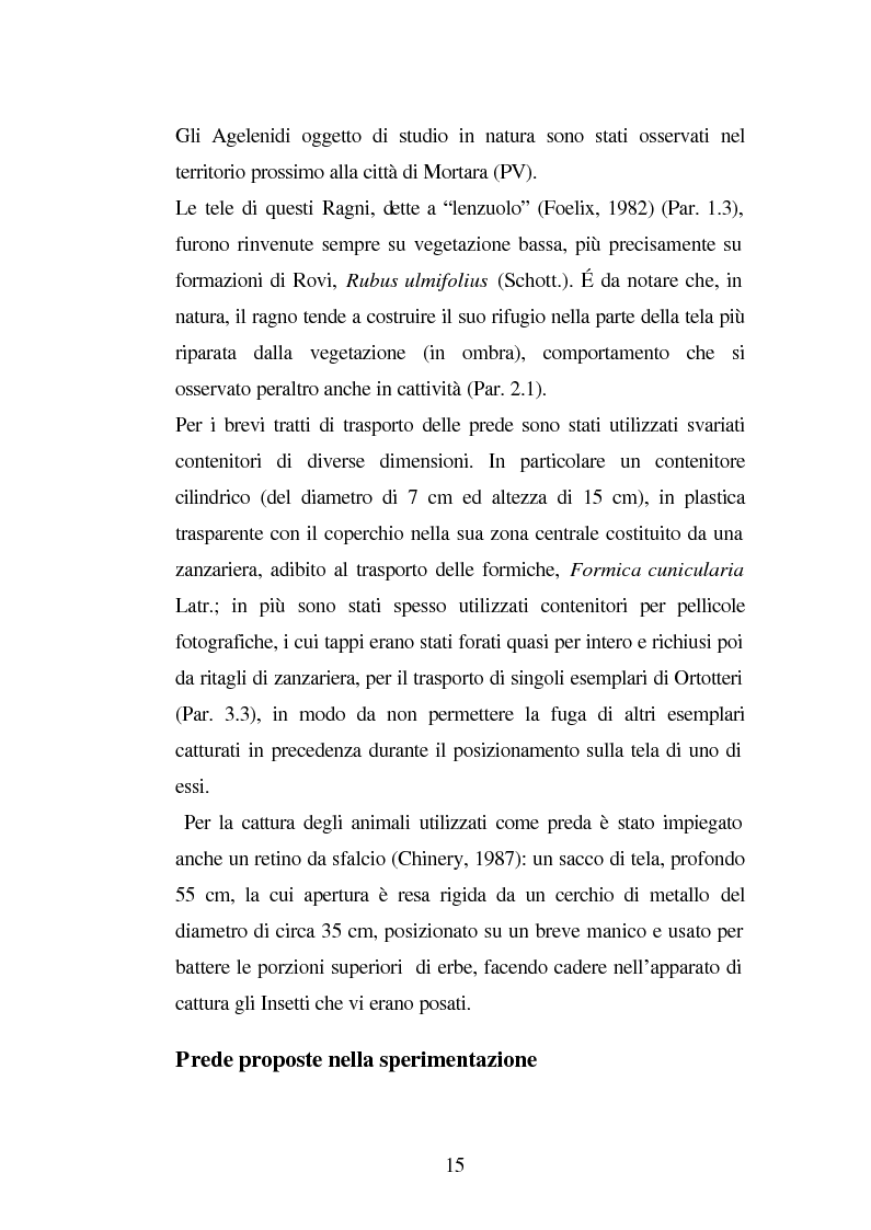 Anteprima della tesi: Predazione di Agelena Labyrinthica (Clerk) (Araneae, Agelenidae) in natura e laboratorio, con prede di tipologia differente, Pagina 13