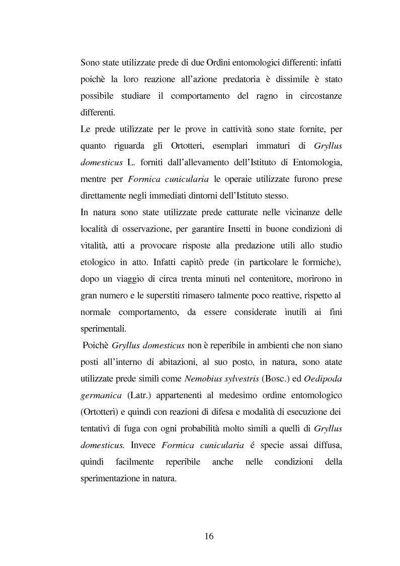 Anteprima della tesi: Predazione di Agelena Labyrinthica (Clerk) (Araneae, Agelenidae) in natura e laboratorio, con prede di tipologia differente, Pagina 14