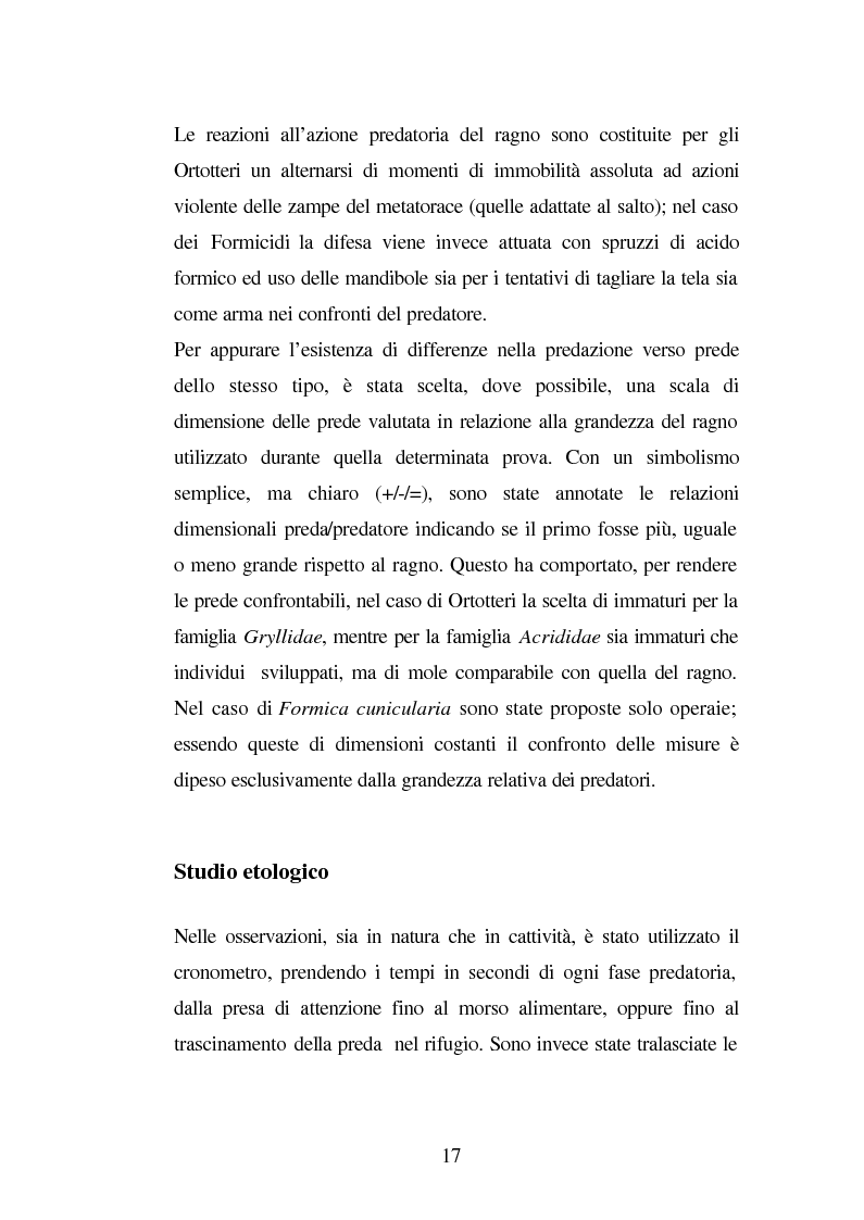 Anteprima della tesi: Predazione di Agelena Labyrinthica (Clerk) (Araneae, Agelenidae) in natura e laboratorio, con prede di tipologia differente, Pagina 15