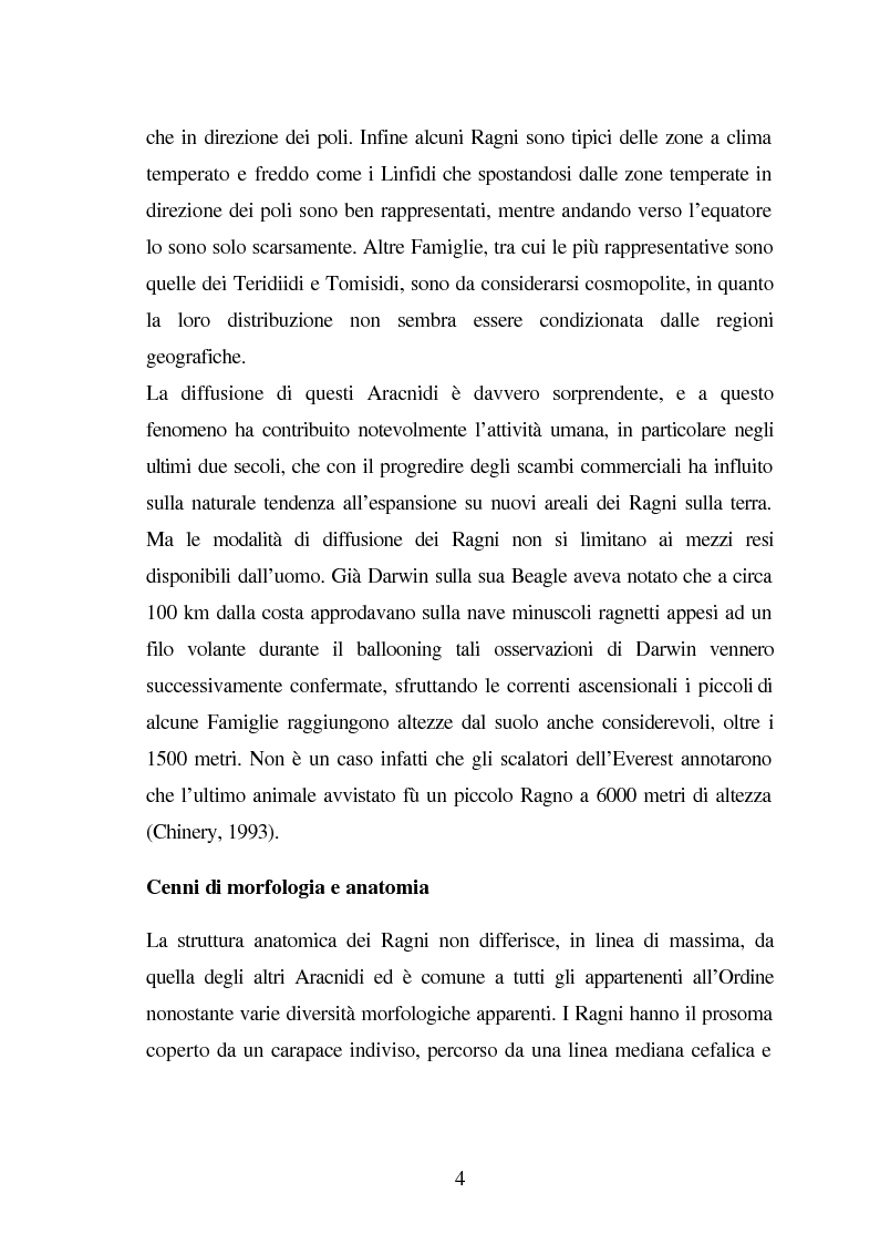 Anteprima della tesi: Predazione di Agelena Labyrinthica (Clerk) (Araneae, Agelenidae) in natura e laboratorio, con prede di tipologia differente, Pagina 2