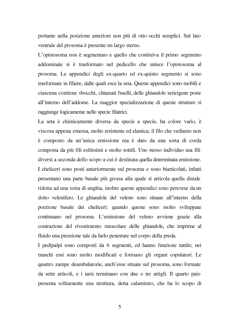 Anteprima della tesi: Predazione di Agelena Labyrinthica (Clerk) (Araneae, Agelenidae) in natura e laboratorio, con prede di tipologia differente, Pagina 3