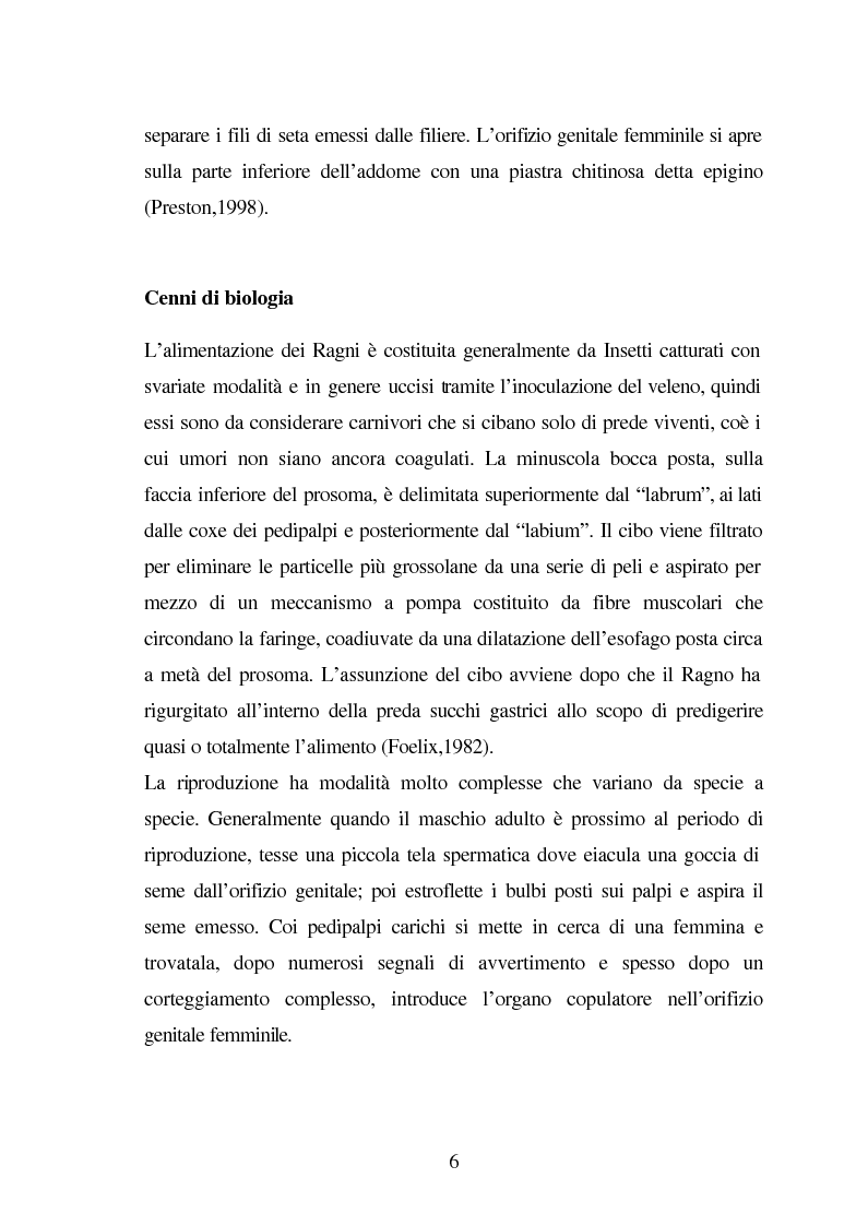 Anteprima della tesi: Predazione di Agelena Labyrinthica (Clerk) (Araneae, Agelenidae) in natura e laboratorio, con prede di tipologia differente, Pagina 4