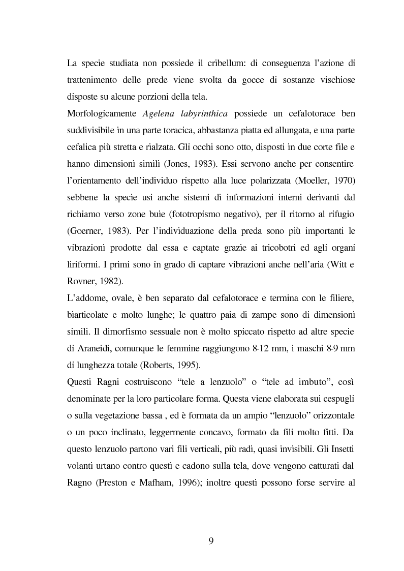 Anteprima della tesi: Predazione di Agelena Labyrinthica (Clerk) (Araneae, Agelenidae) in natura e laboratorio, con prede di tipologia differente, Pagina 7