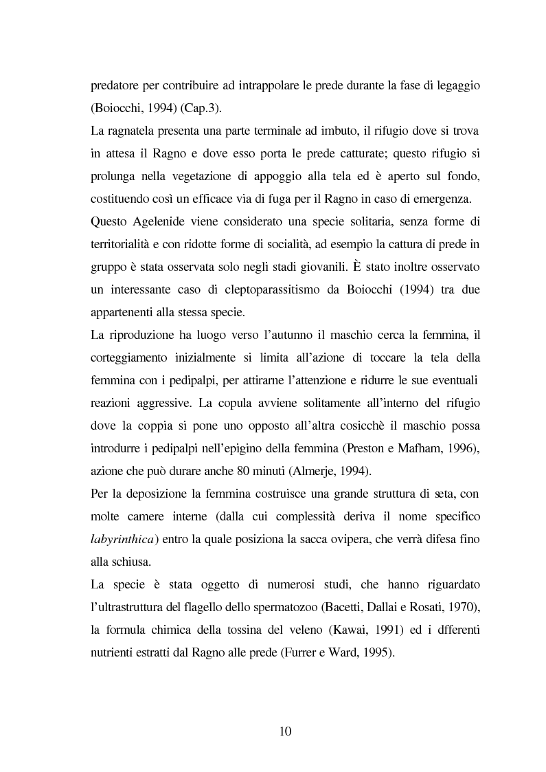 Anteprima della tesi: Predazione di Agelena Labyrinthica (Clerk) (Araneae, Agelenidae) in natura e laboratorio, con prede di tipologia differente, Pagina 8