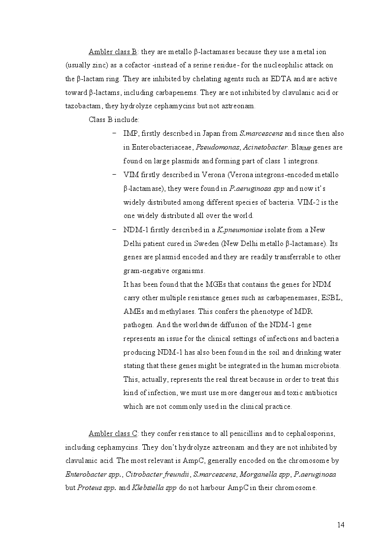 Estratto dalla tesi: New and innovative strategies in order to overcome antibiotic resistance: a focus on phage therapy and fecal microbiota transplantation