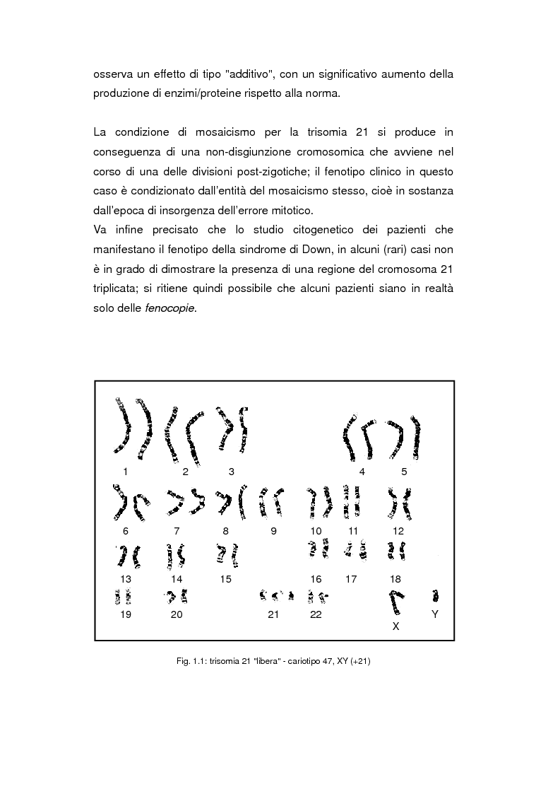 Anteprima della tesi: Uso del Triplo-Test nello screening della trisomia 21 e dei difetti del tubo neurale, Pagina 6