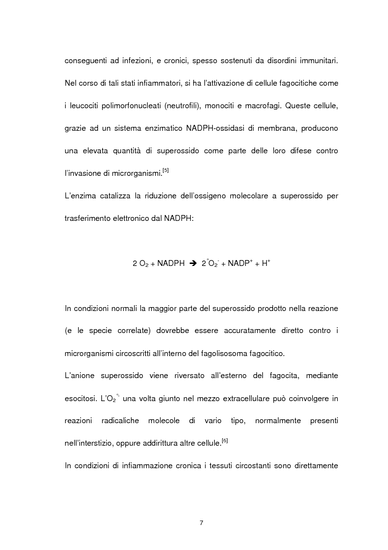 Anteprima della tesi: Misura degli idroperossidi lipidici nel siero mediante l'ossidazione dello ione ferro, Pagina 7