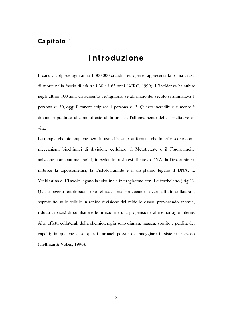 Anteprima della tesi: Studio di nuovi inibitori dell'attività tirosina chinasica associata all'Egfr, Pagina 3