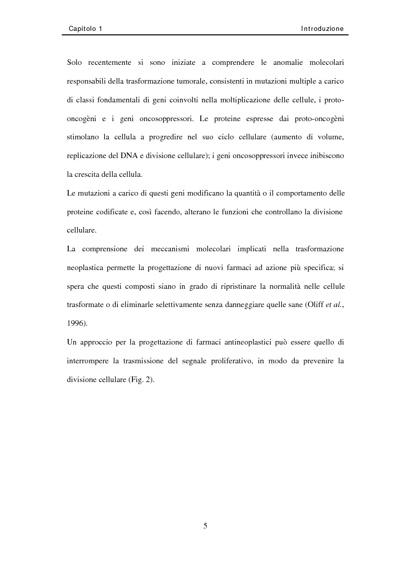 Anteprima della tesi: Studio di nuovi inibitori dell'attività tirosina chinasica associata all'Egfr, Pagina 5