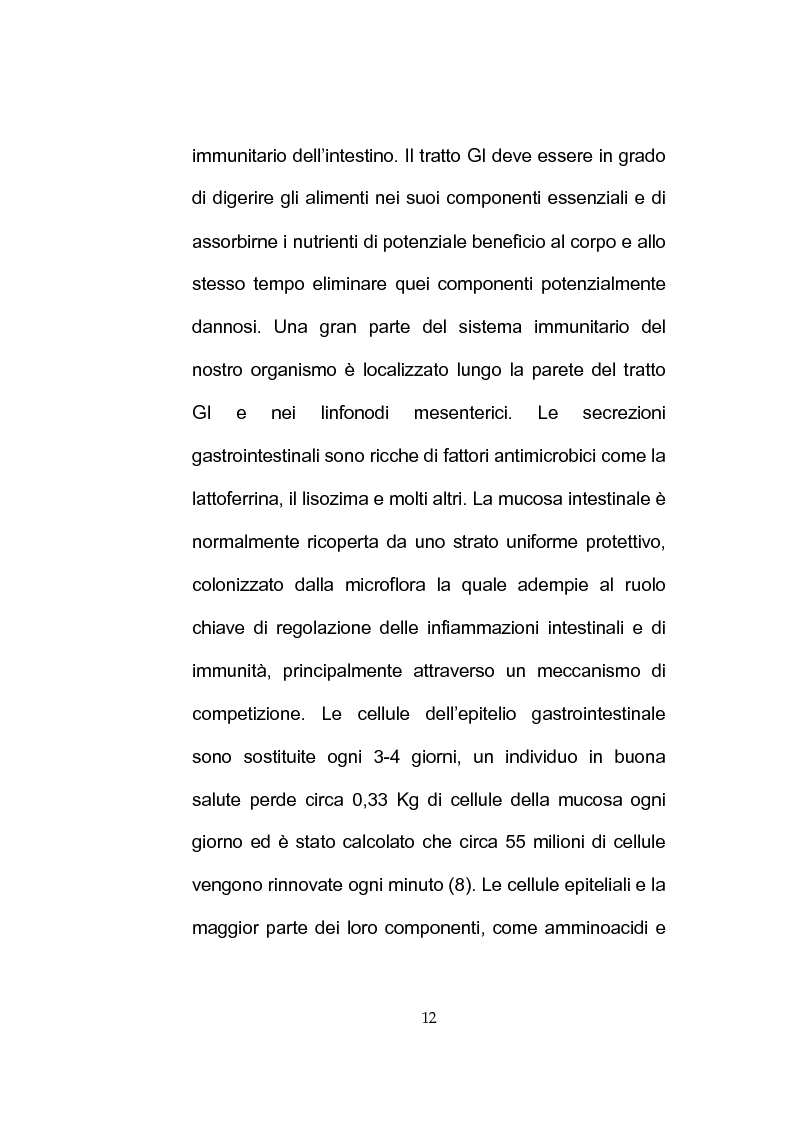 Anteprima della tesi: Separazione e caratterizzazione di FOS e fruttani impiegati nella preparazione di alimenti prebiotici e integratori alimentari, Pagina 12