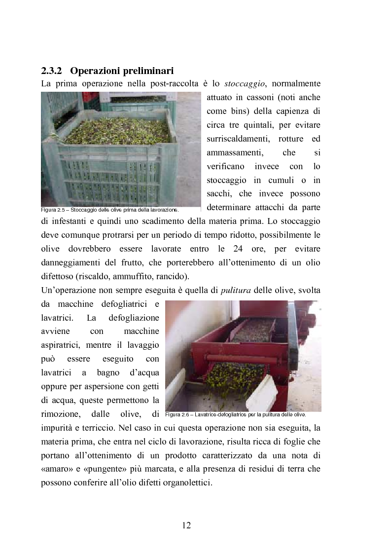 Anteprima della tesi: Valutazione della qualità di oli extravergini di oliva, ottenuti con diverse tecniche di estrazione, in relazione al contenuto di sotanze a struttura fenolica, Pagina 12