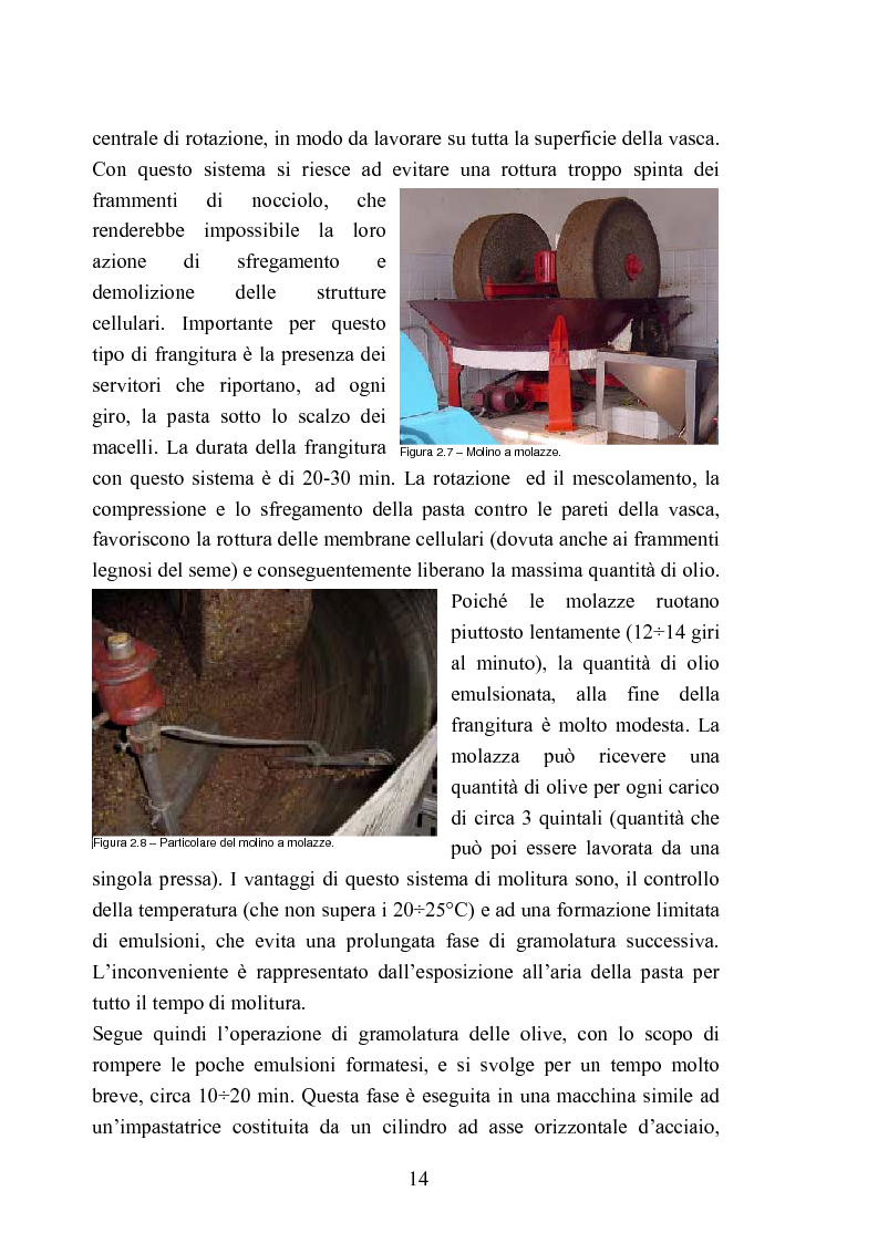 Anteprima della tesi: Valutazione della qualità di oli extravergini di oliva, ottenuti con diverse tecniche di estrazione, in relazione al contenuto di sotanze a struttura fenolica, Pagina 14