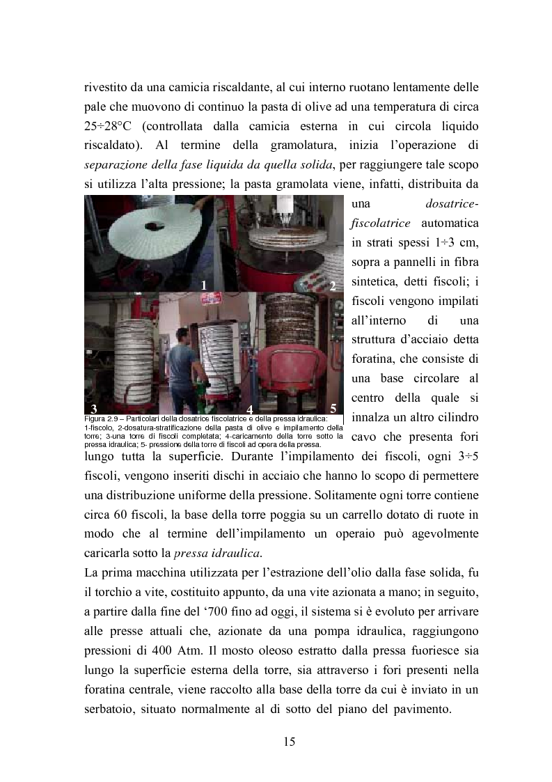 Anteprima della tesi: Valutazione della qualità di oli extravergini di oliva, ottenuti con diverse tecniche di estrazione, in relazione al contenuto di sotanze a struttura fenolica, Pagina 15